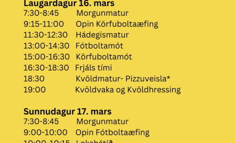 Íslandsleikarnir um helgina á Akureyri - hvetjum sem flesta til að mæta